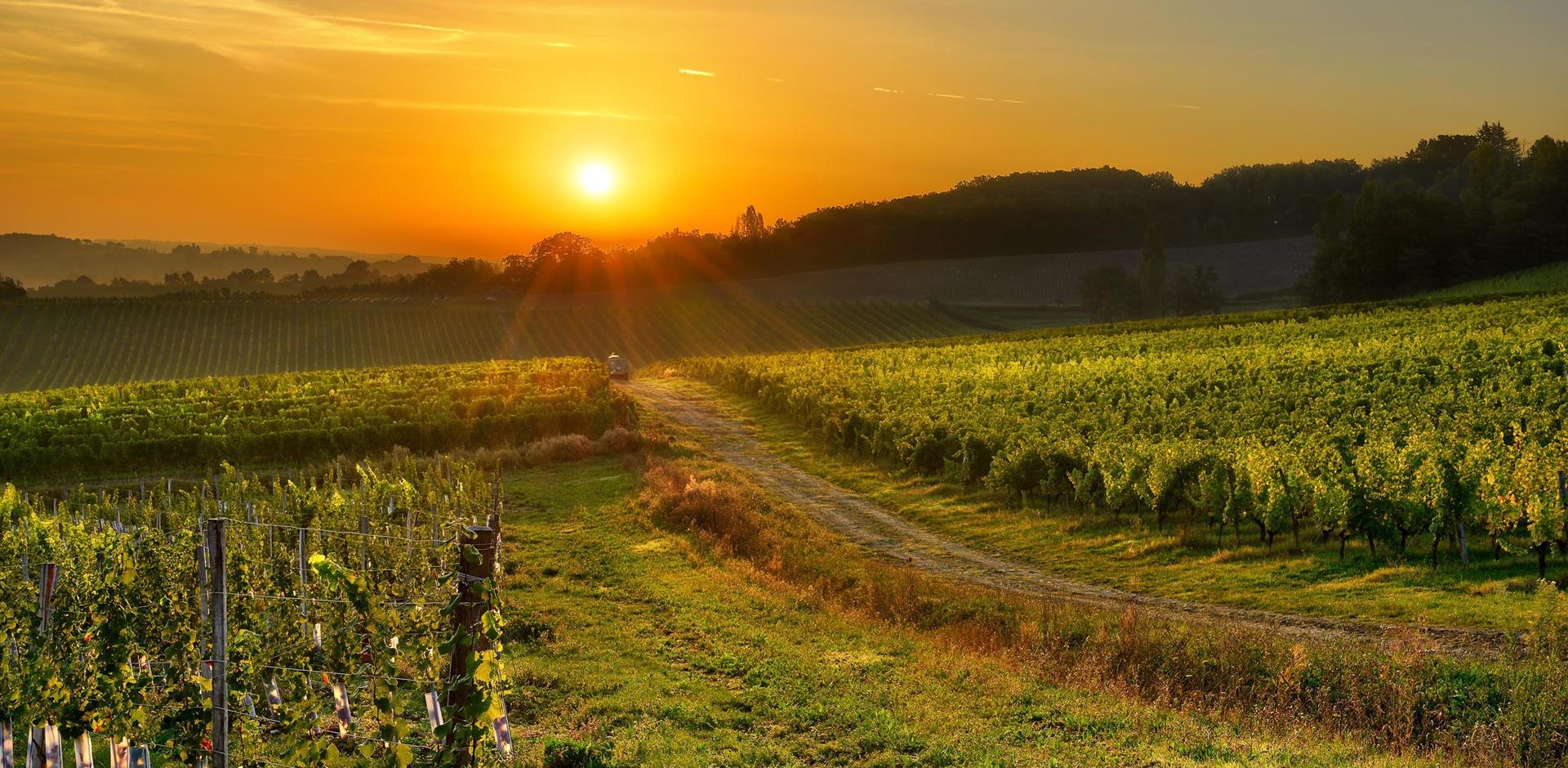 Bergerac & surroundings, France