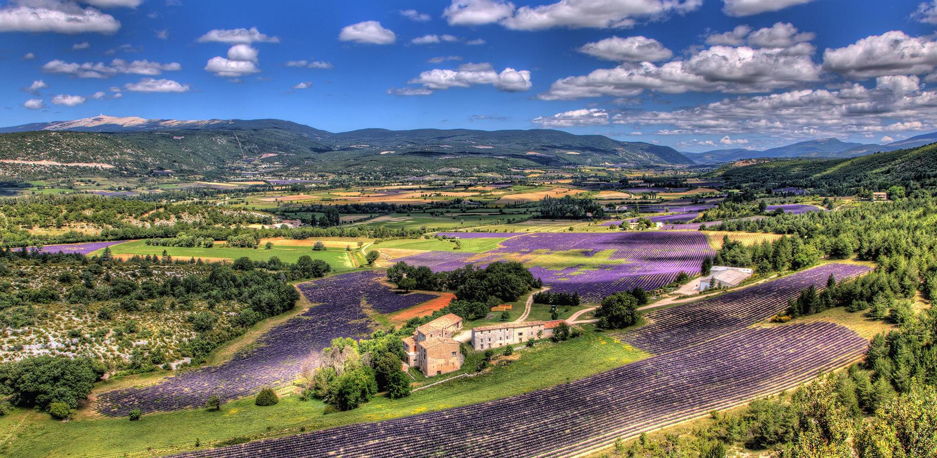 Mount Ventoux, Provence