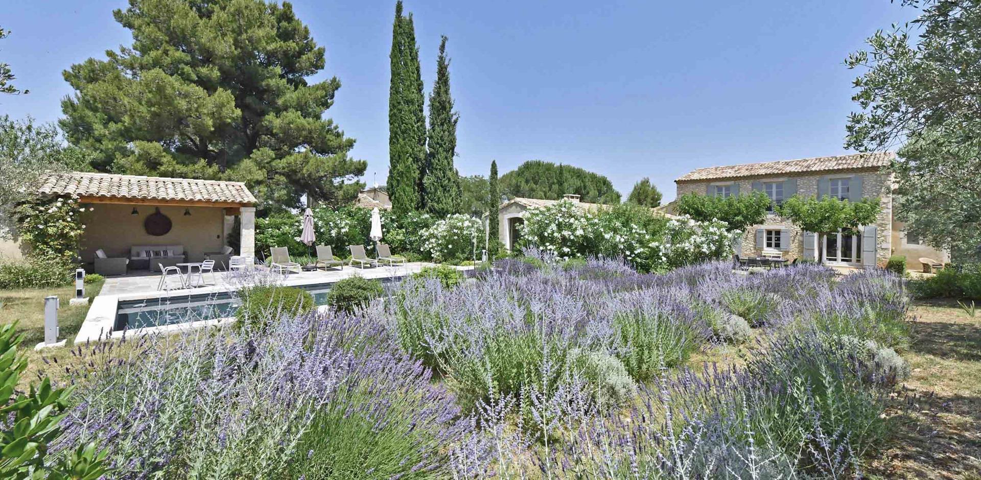 La Belle Lavande, Provence