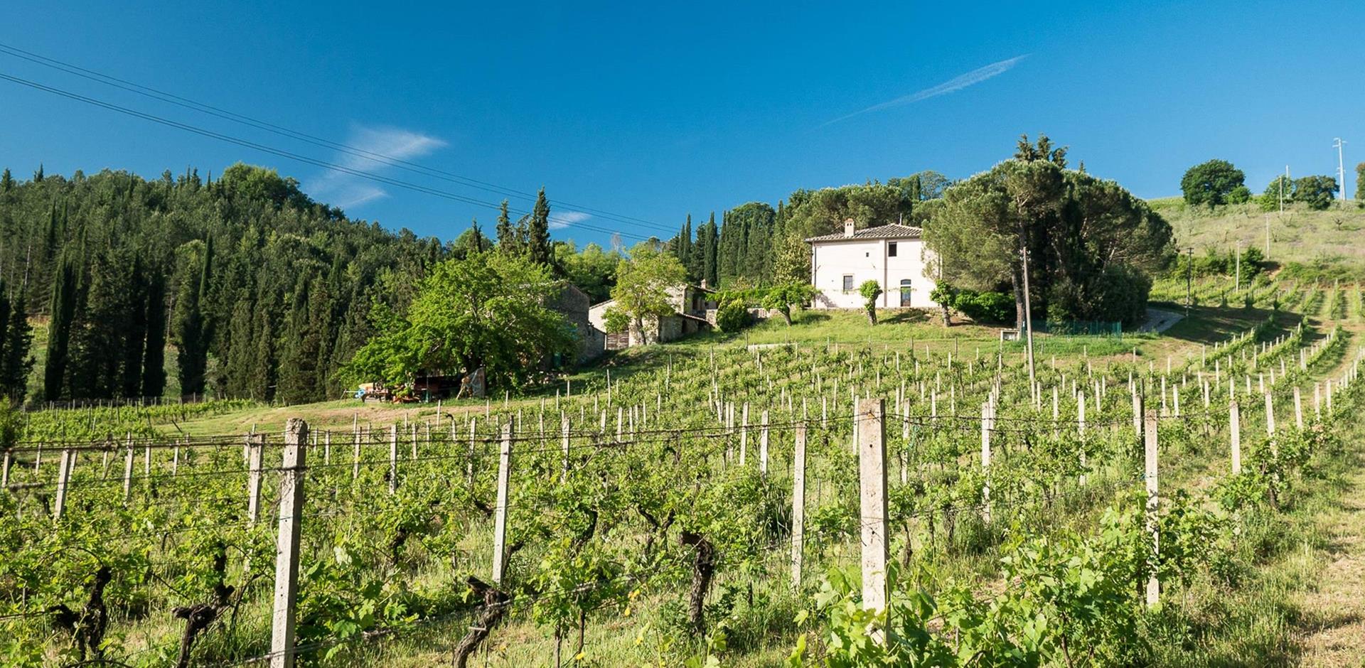Podere alle Torri, Tuscany